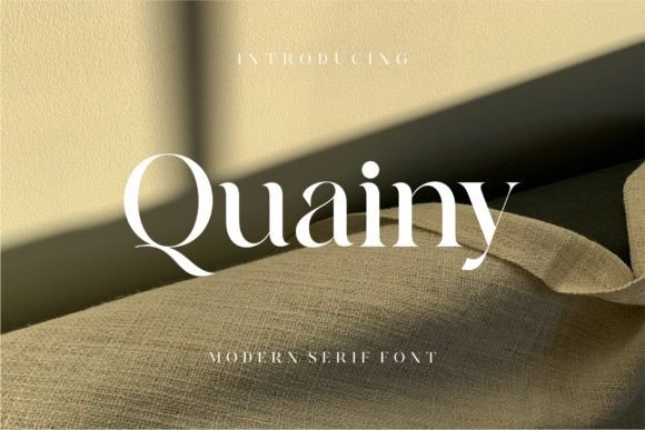 Quainy Serif Font: A Minimalist Masterpiece for Designers